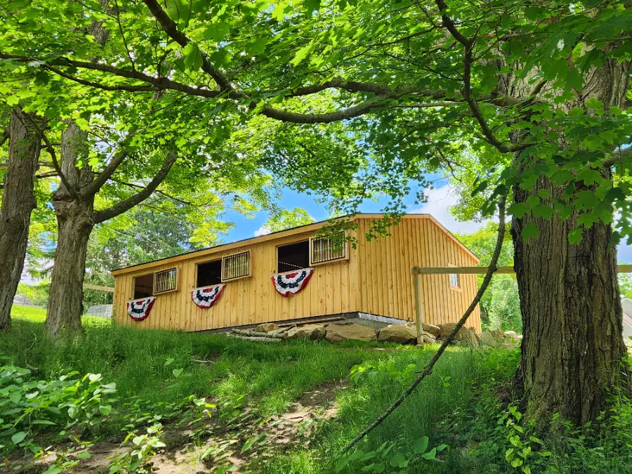 shed row barn with lean to