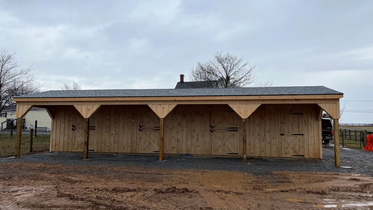 shed row horse barn