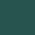 paint swatch