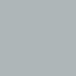 paint swatch