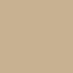 paint swatch